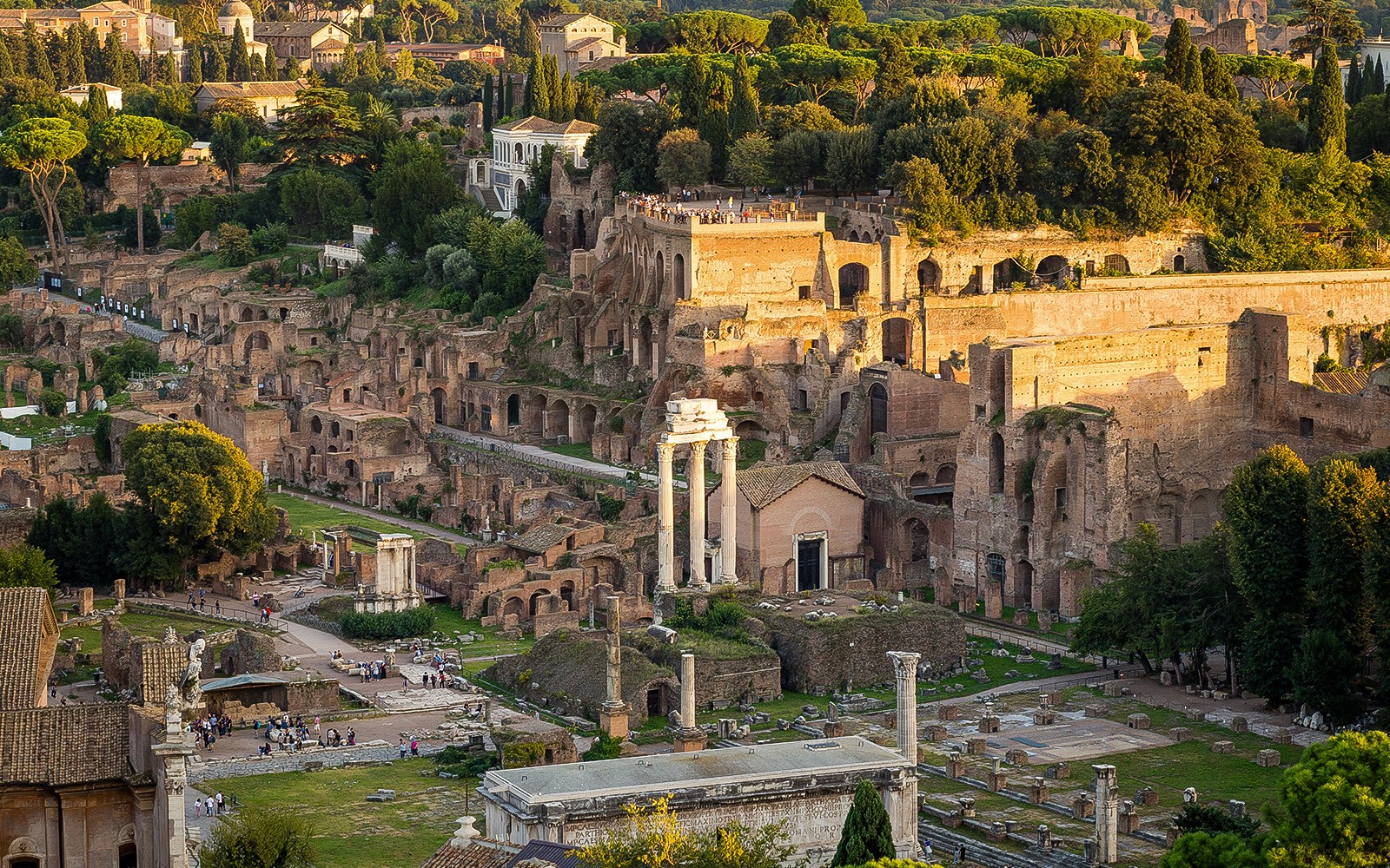 Colosseum, Palatine Hill & Roman Forum Small Group Tour