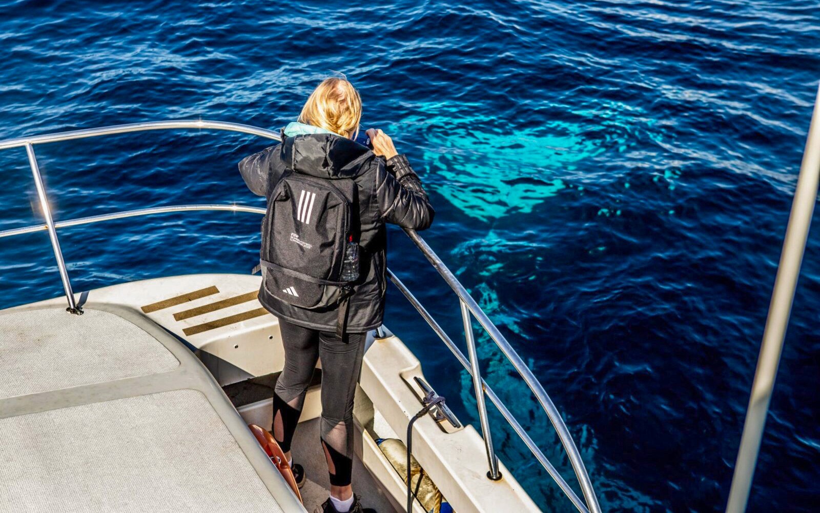 Sydney Small Boat Whale Watching Cruise