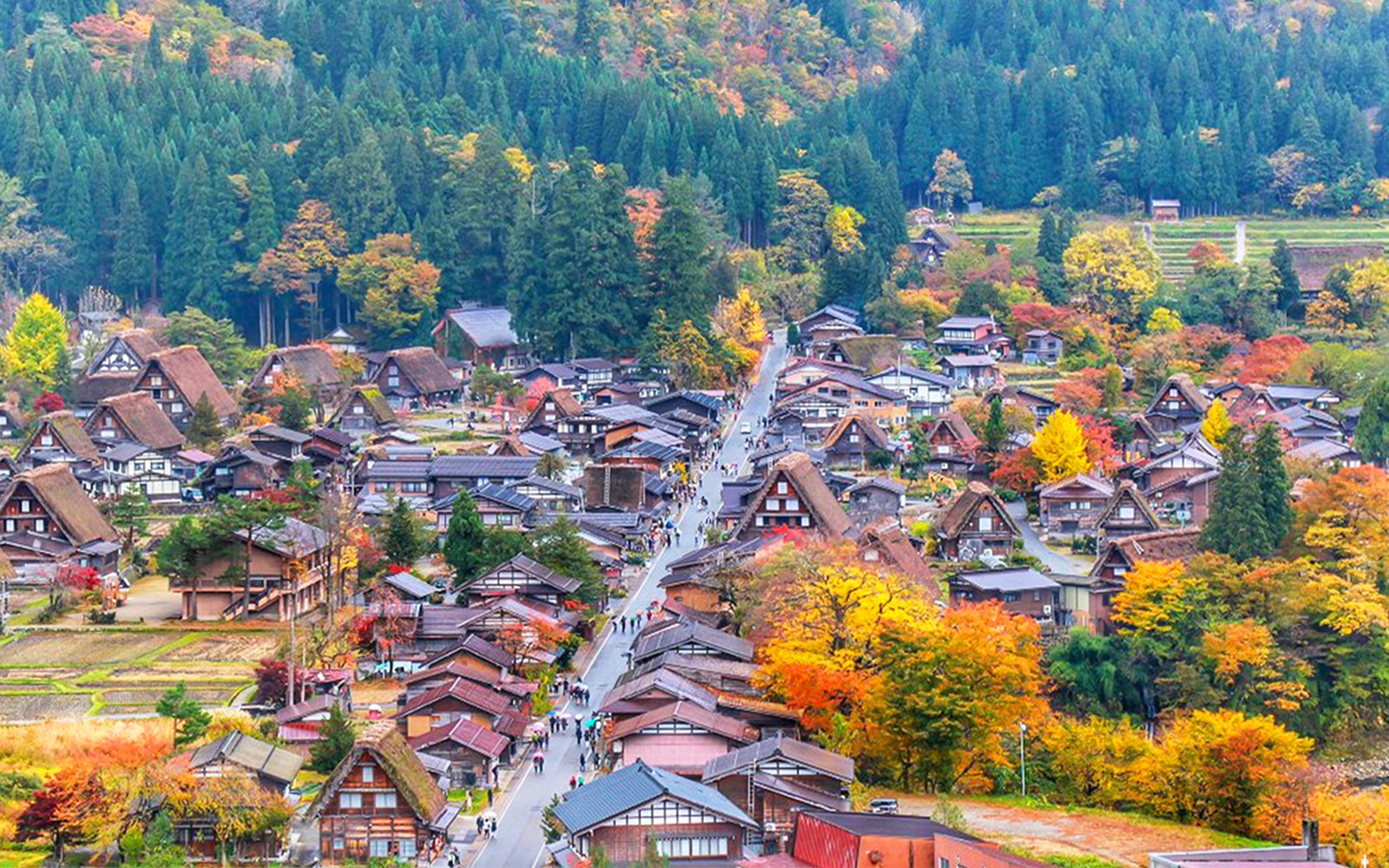 1-Day Guided Tour of Shiragawa-go and Takayama from Nagoya