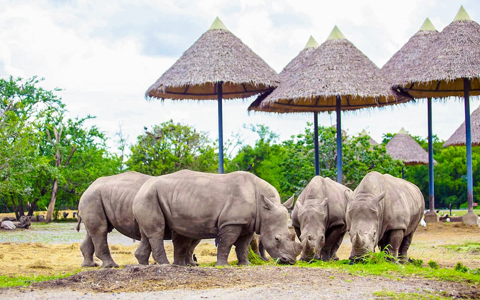 Safari World + Marine Park Tickets with Lunch and Optional Transfers — gallery 3