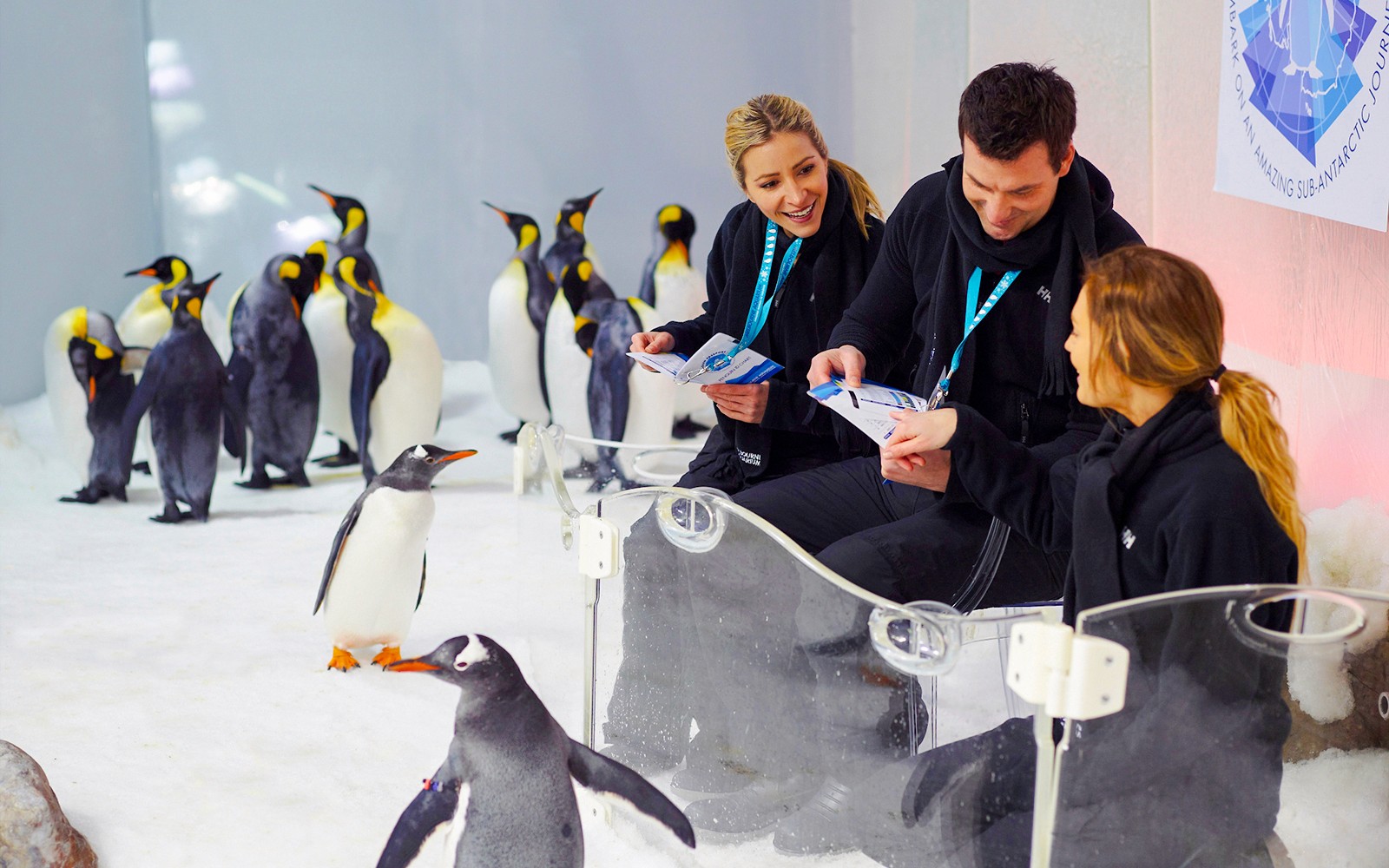 SEA LIFE Melbourne Aquarium Tickets