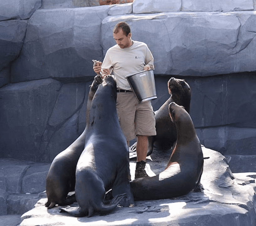 Paris Zoological Park: Entry Ticket