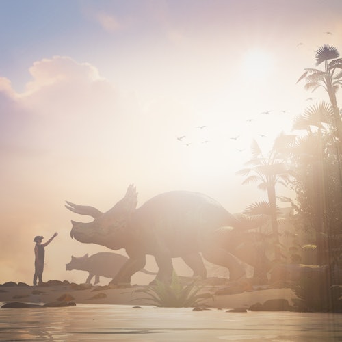 Lyon: VR Experience "Life Chronicles" — gallery 1