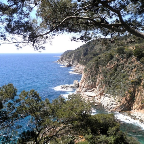 Costa Brava: Guided Day Tour from Barcelona — gallery 4