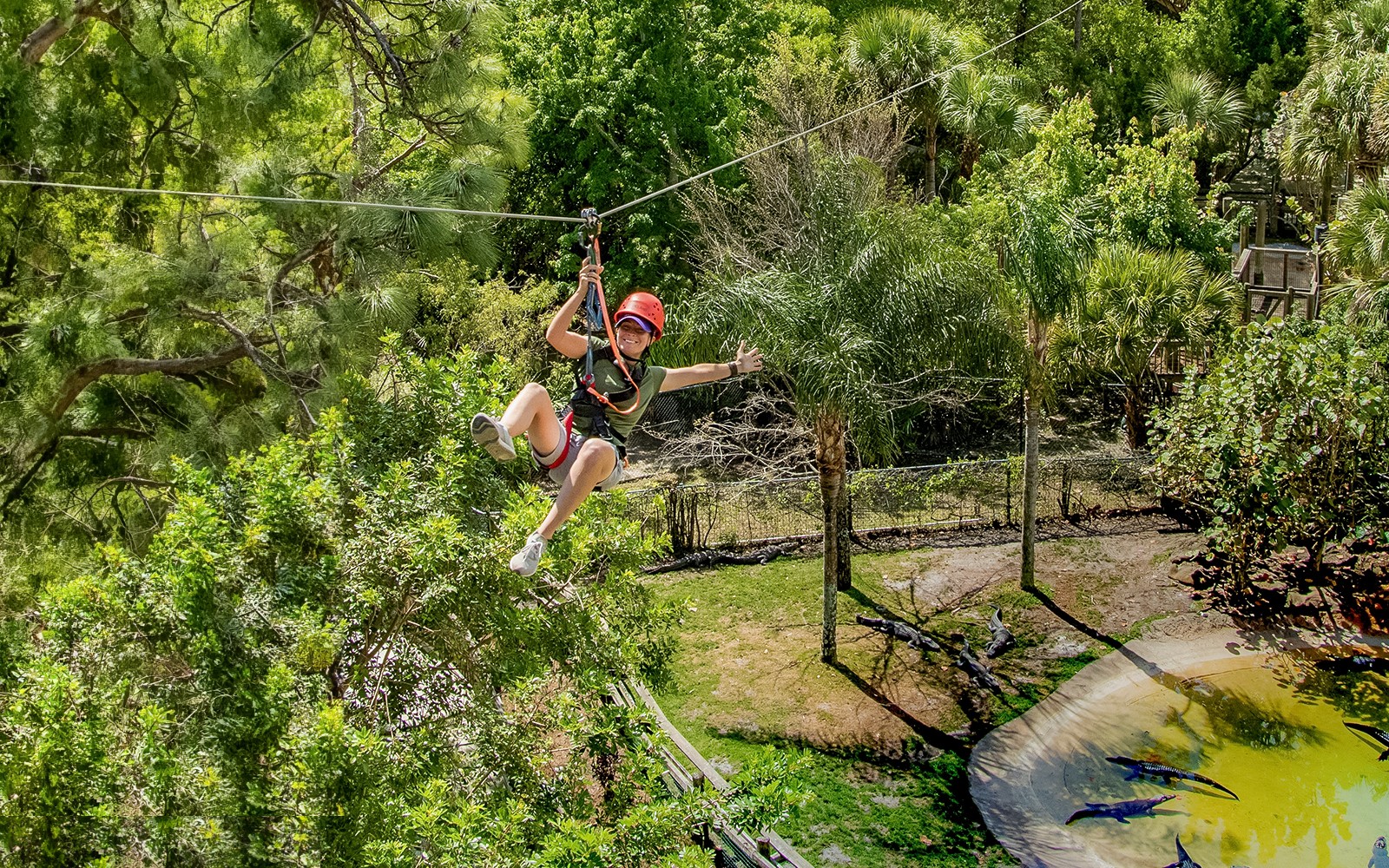 Gatorland Tickets with Screamin’ Gator Zip Line Access — gallery 3