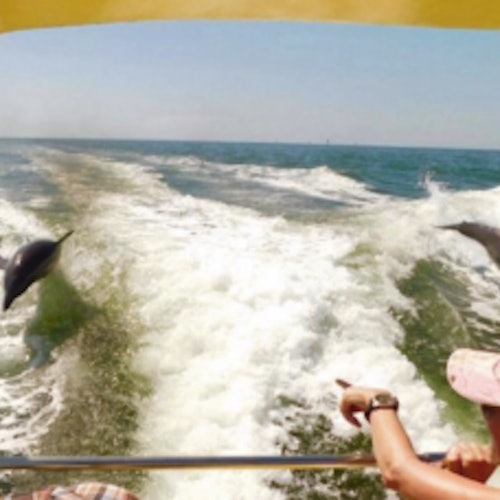 St. Pete Beach Area: Dolphin Racer Speedboat Adventure — gallery 2