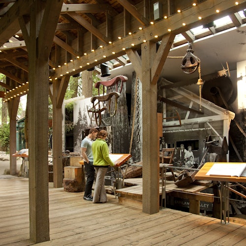 Vancouver: Capilano Suspension Bridge Park & City Tour — gallery 4