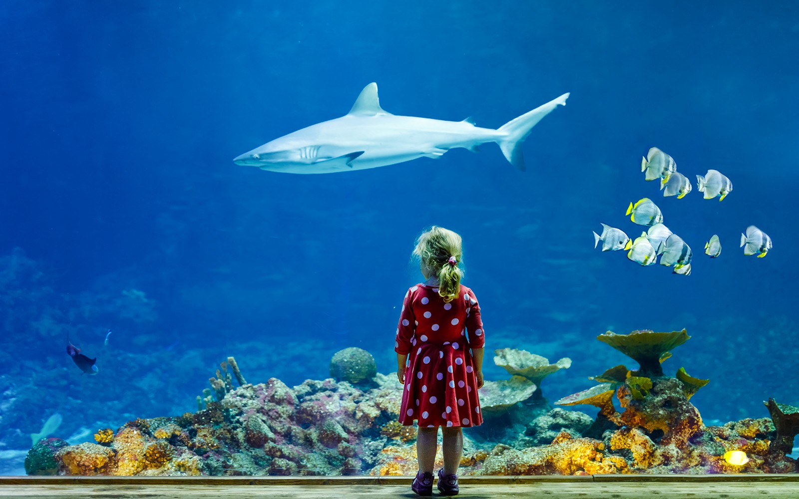 Aquarium de Paris Priority Access Tickets — gallery 1