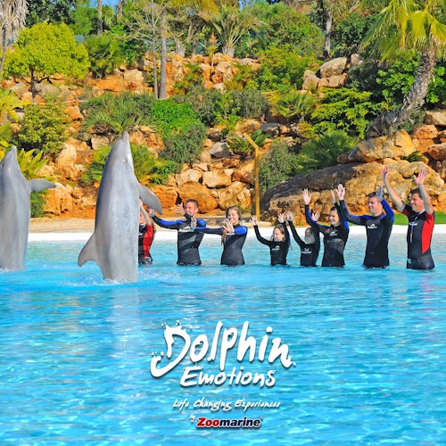 Zoomarine Algarve: Entry Ticket + Dolphin Experience — gallery 2