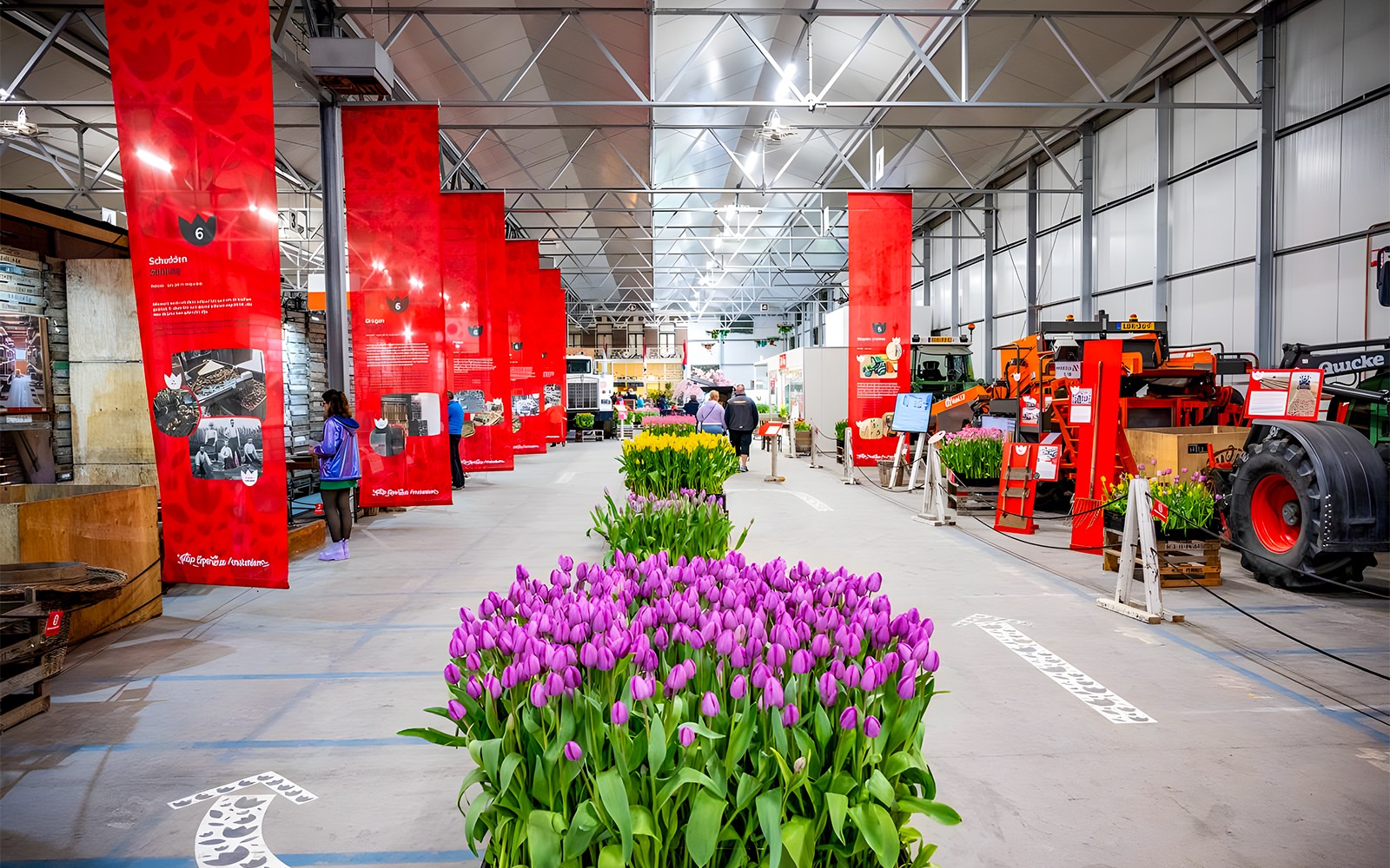 From Amsterdam: Keukenhof & Tulip Farm Full-Day Trip with Windmill Cruise