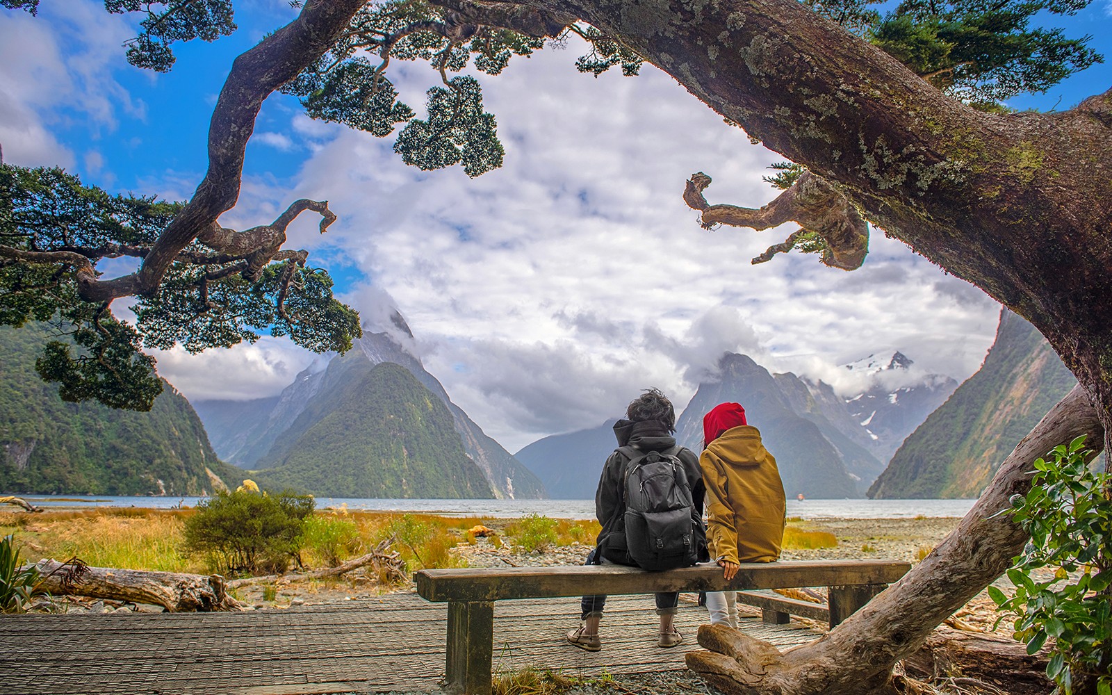 From Te Anau: Milford Sound Day Trip with Cruise & Return Transfers