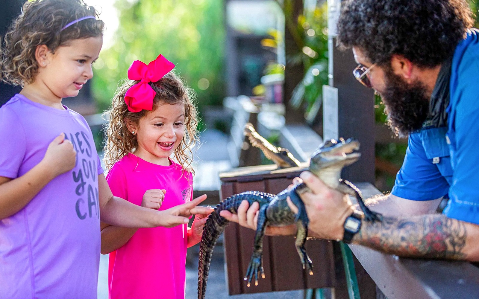 Miami: Sawgrass Recreation Park Airboat Tour with Reptile Exhibit & Optional Transportation — gallery 3