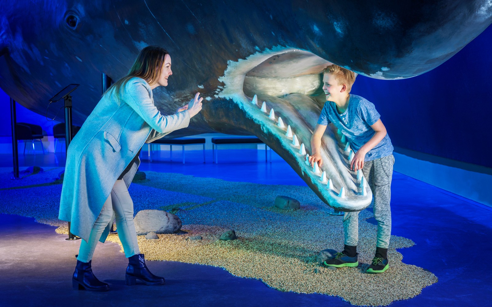 Tickets to Whales of Iceland Museum