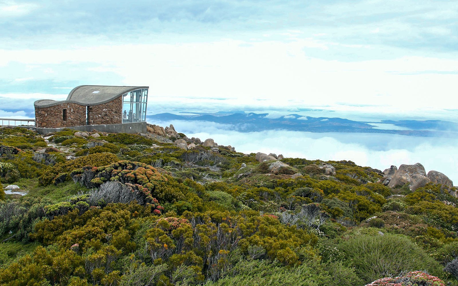 kunanyi/Mt Wellington Explorer One-Way Bus Pass