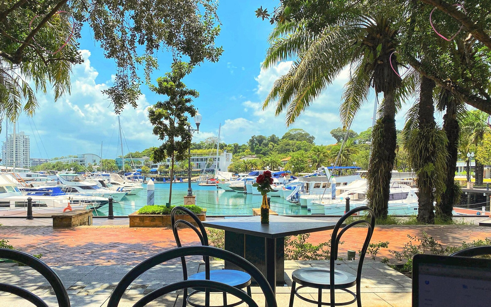 Sentosa Dining Pass