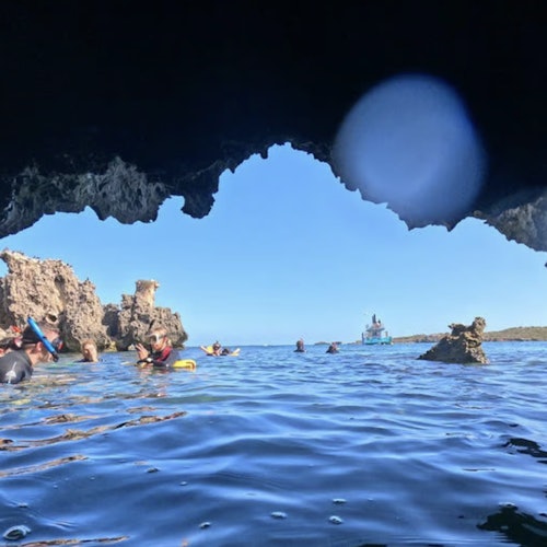 Shoalwater Islands Marine Park: Guided Snorkeling Tour + Lunch — gallery 2