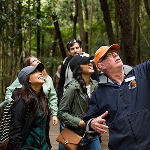 Blue Mountains: All-Inclusive Tour from Sydney with Sydney Zoo & Scenic World — gallery 1