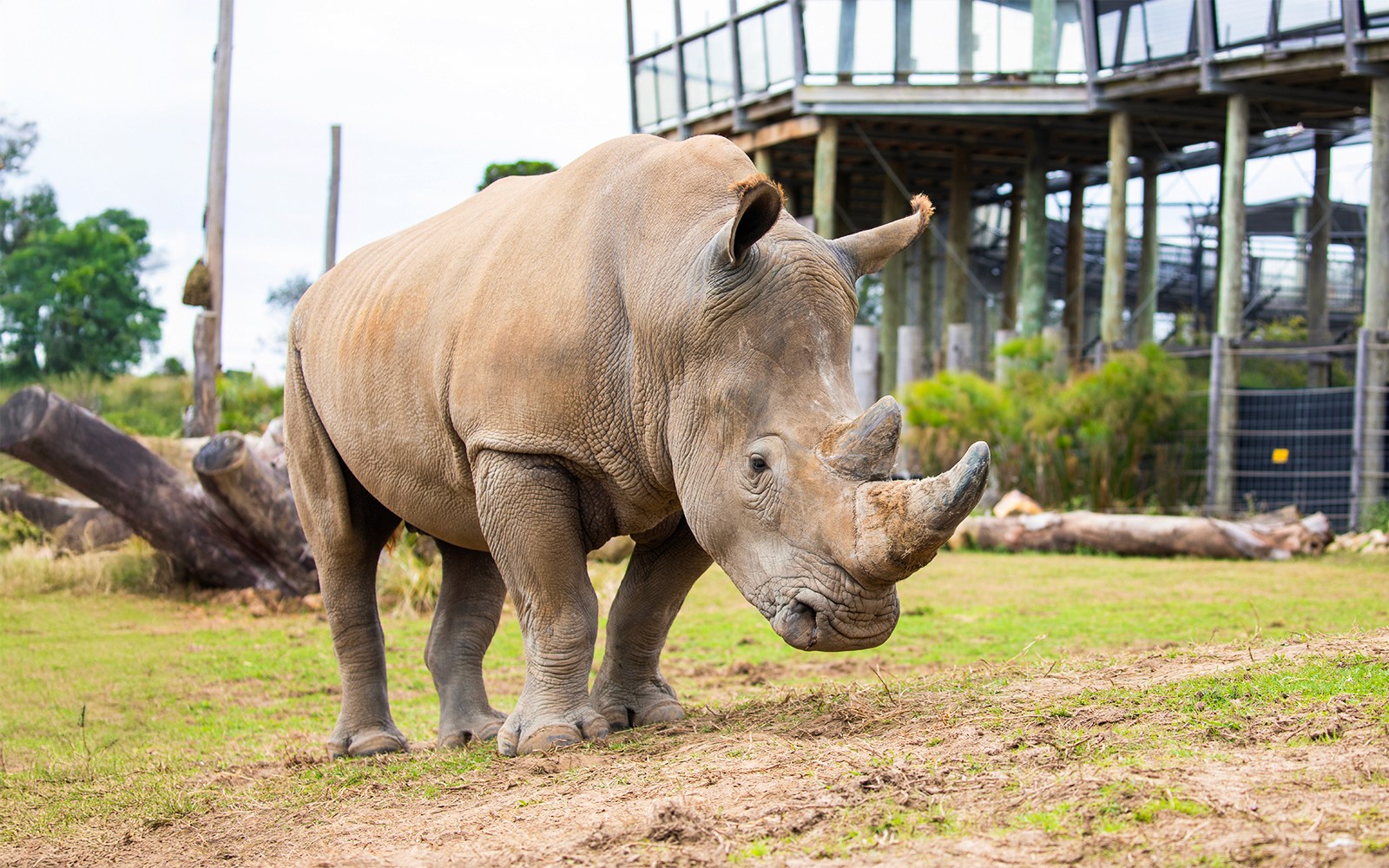 Sydney Zoo Tickets — gallery 4
