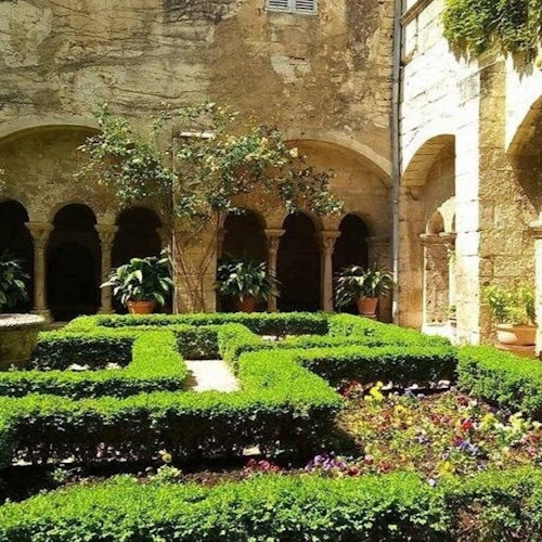 Provence: Arles Guided Van Gogh Tour + Saint-Paul de Mausole Entry — gallery 1