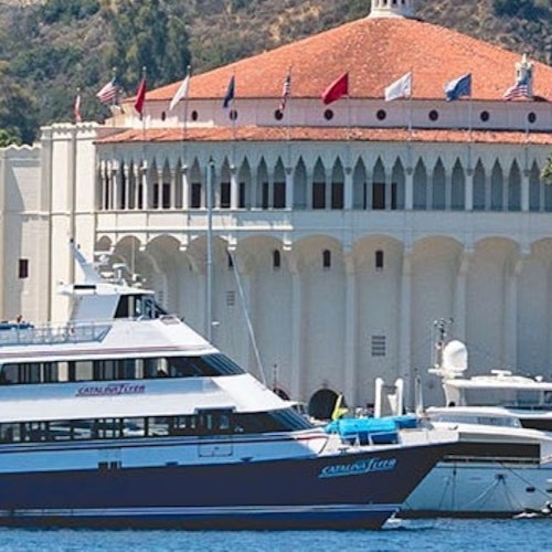 Catalina Island: Day Trip with Zipline Eco Tour — gallery 4