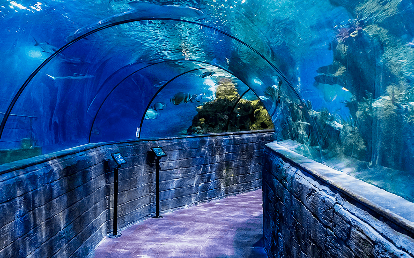 Malta National Aquarium Tickets