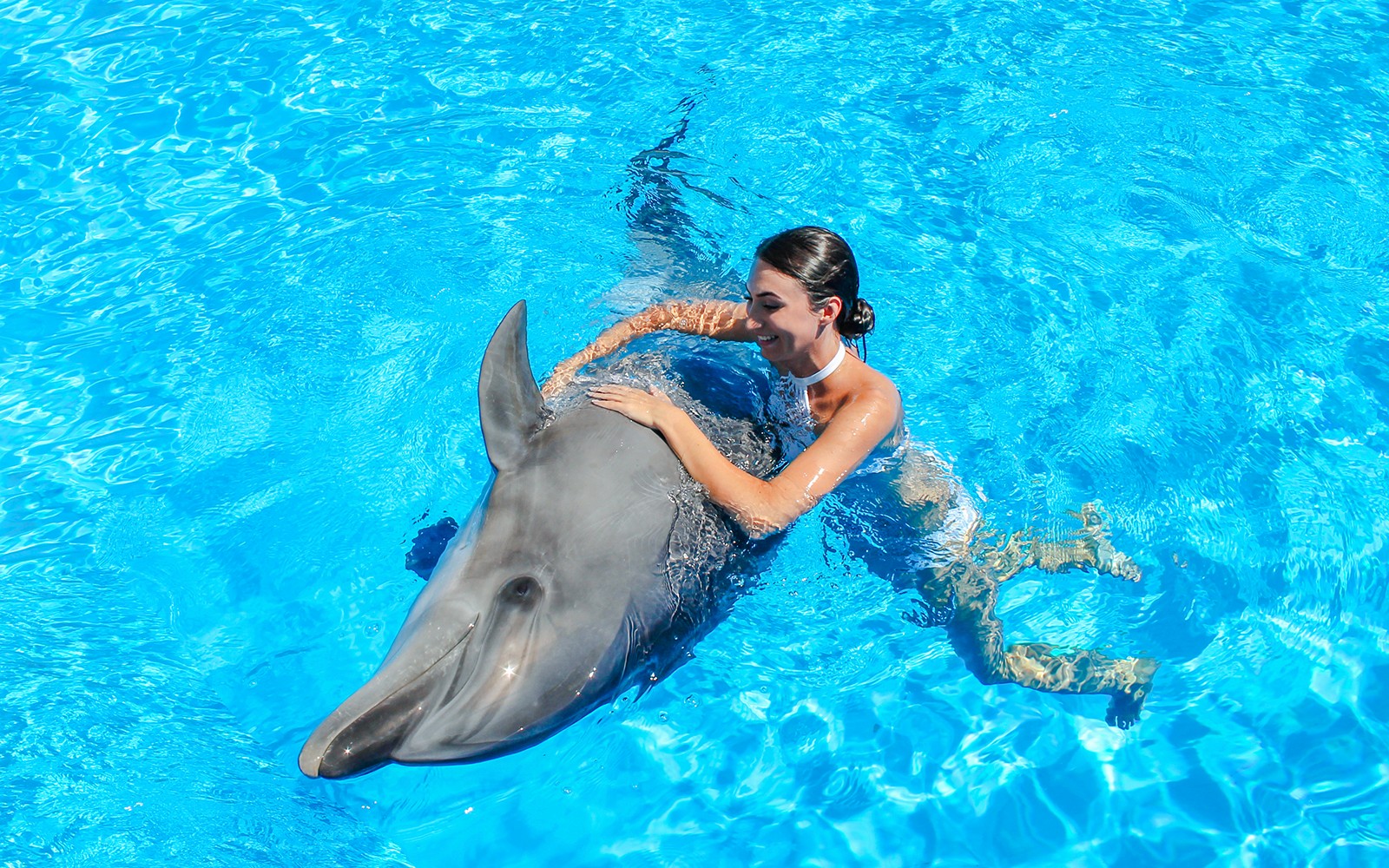 Dolphinarium Pattaya - Swim with Dolphins Experience — gallery 2