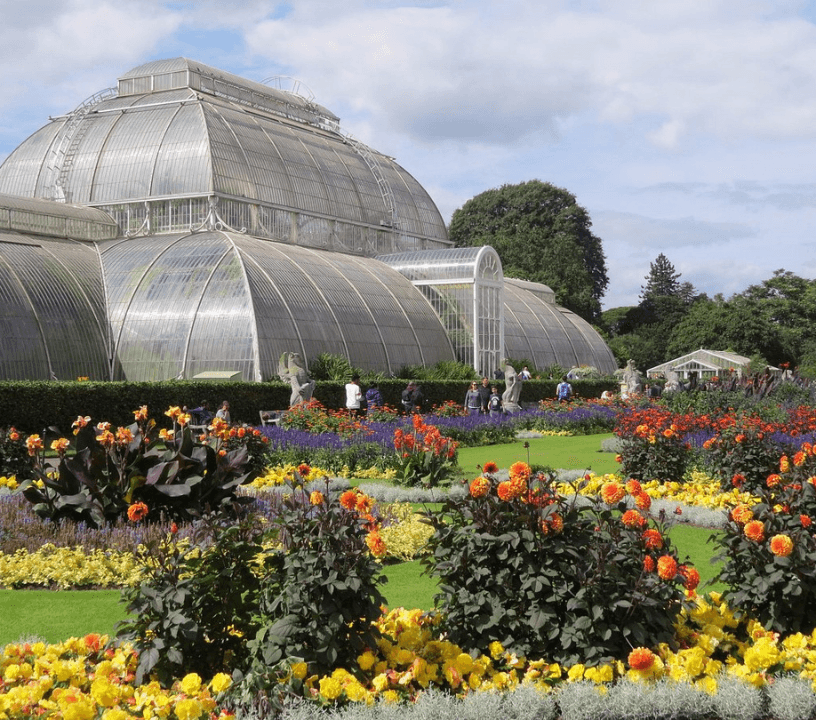 Kew Gardens: Entry Ticket
