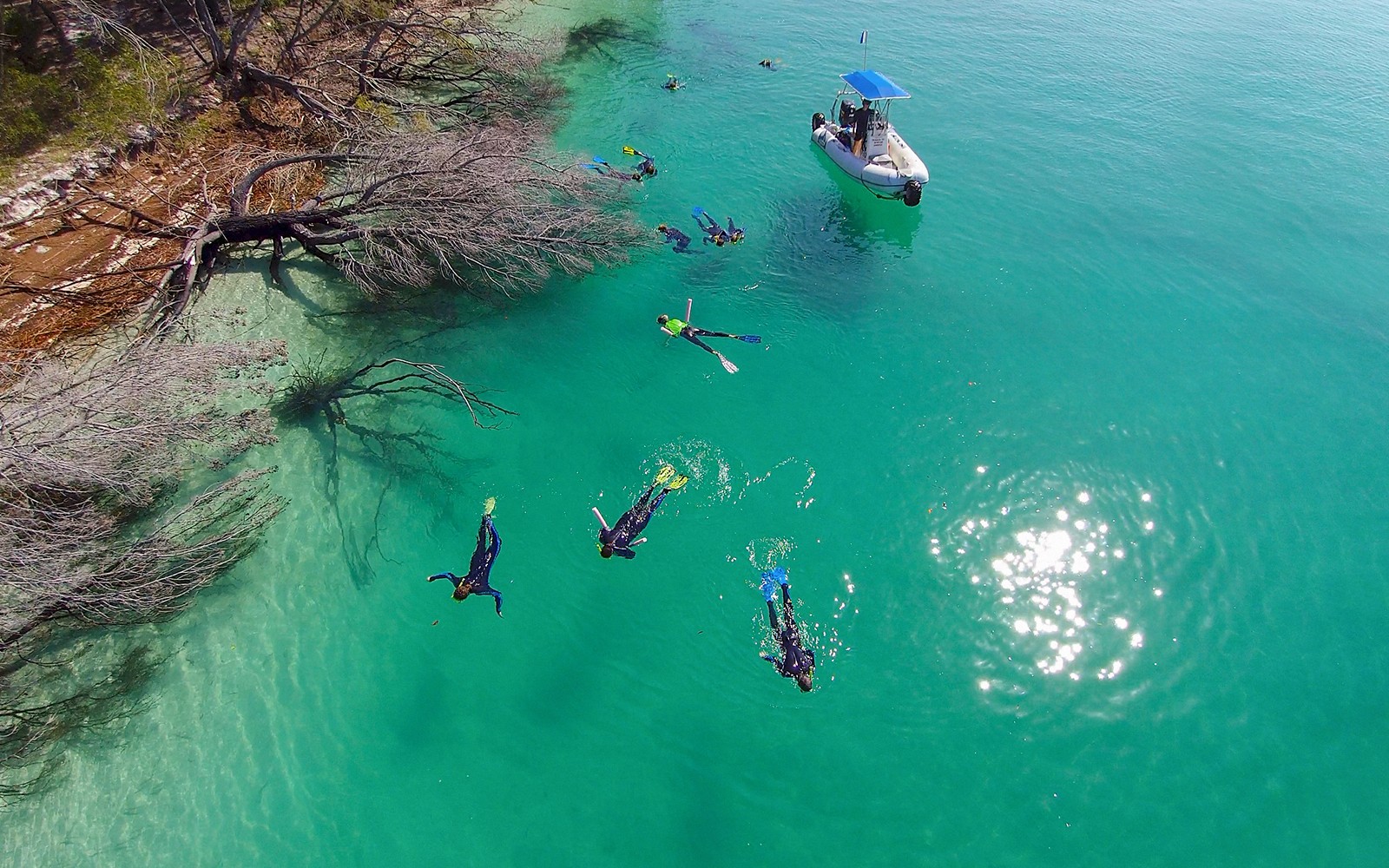From Hervey Bay: Remote K'Gari (Fraser Island) Boat Tour with Lunch — gallery 2