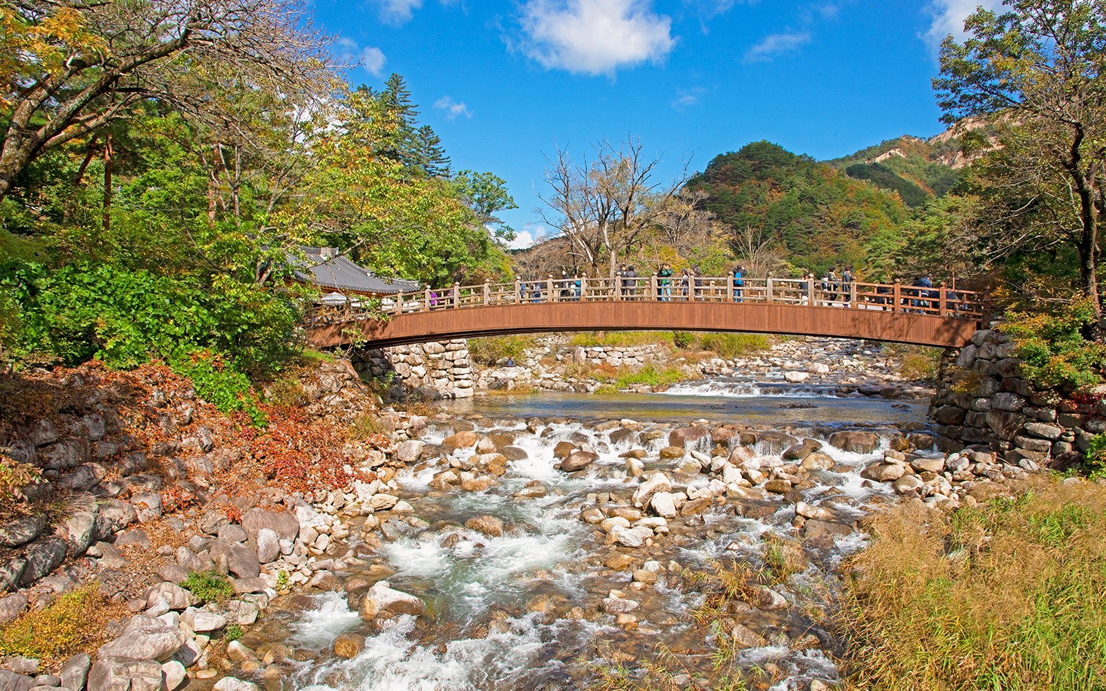 Nami Island & Mount Seorak Day Tour — gallery 3