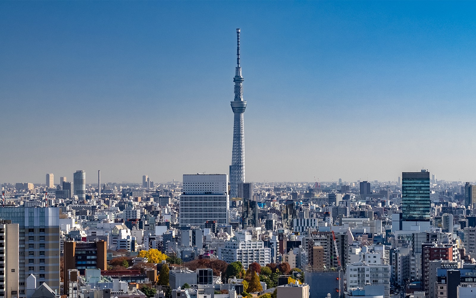 TOKYO SKYTREE Tickets