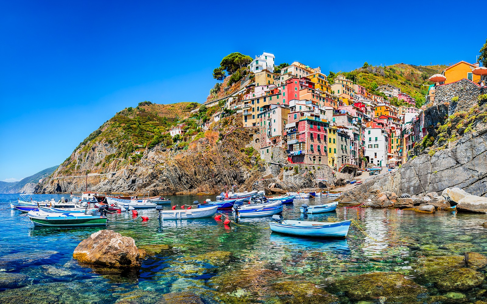 From Florence: Cinque Terre Semi-Private Guided Tour — gallery 4