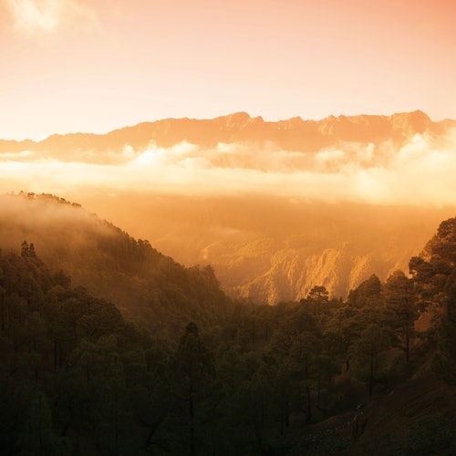 La Palma: Small Group Guided Day Tour from Tenerife + Lunch + Boat Ride