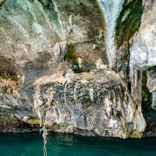 Phi Phi: Half-Day Snorkeling Trip by Longtail Boat — gallery 2