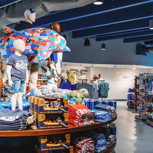 Clearwater Marine Aquarium: Entry Ticket