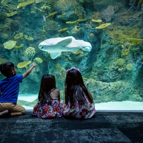 Seattle Aquarium: Entry Ticket at Seattle Aquarium, Seattle, photo 1