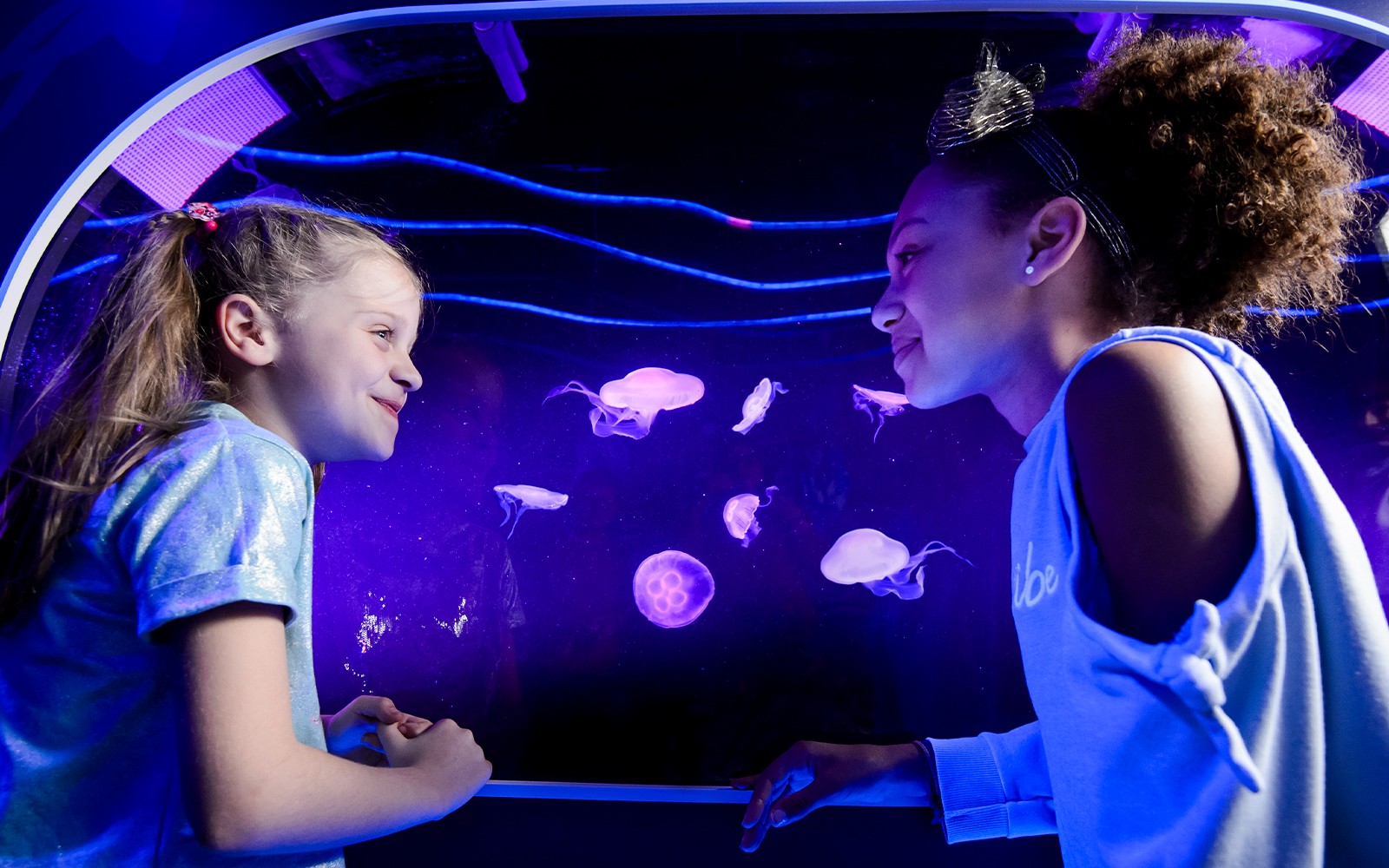 SEA LIFE London Aquarium: Deluxe Package — gallery 2