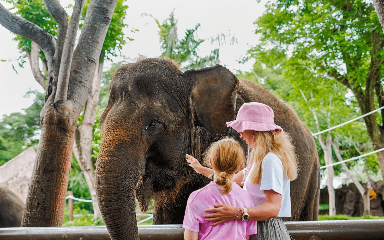 Bali Zoo Entry Tickets 