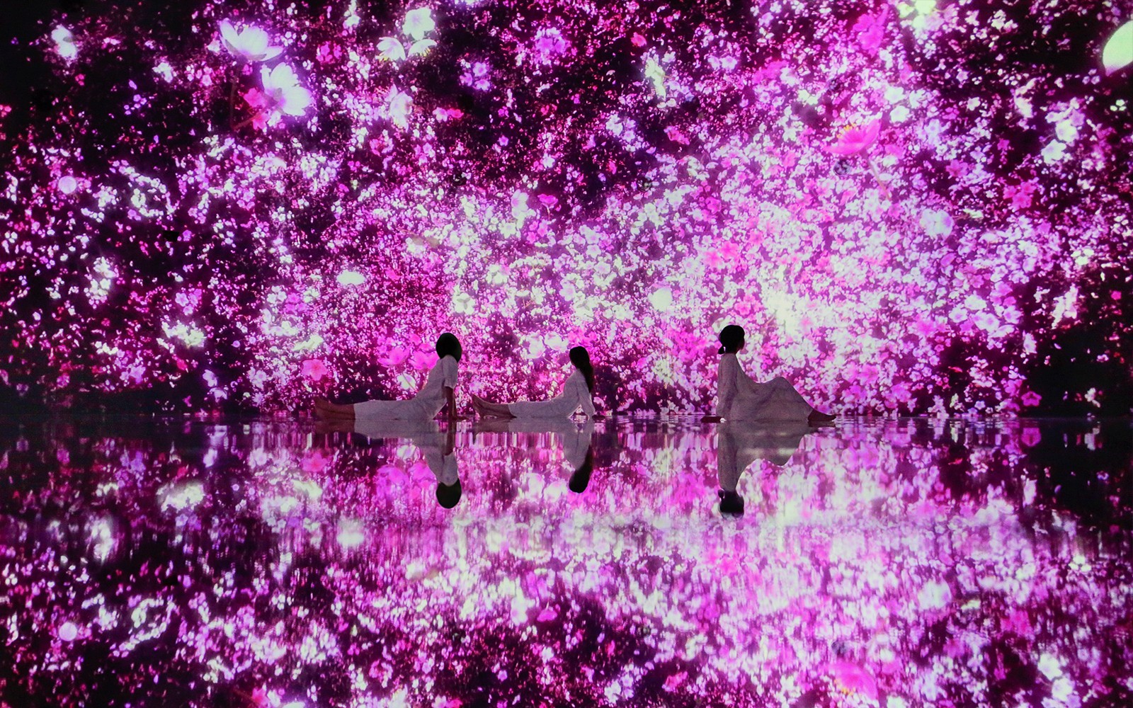 teamLab Planets TOKYO Tickets