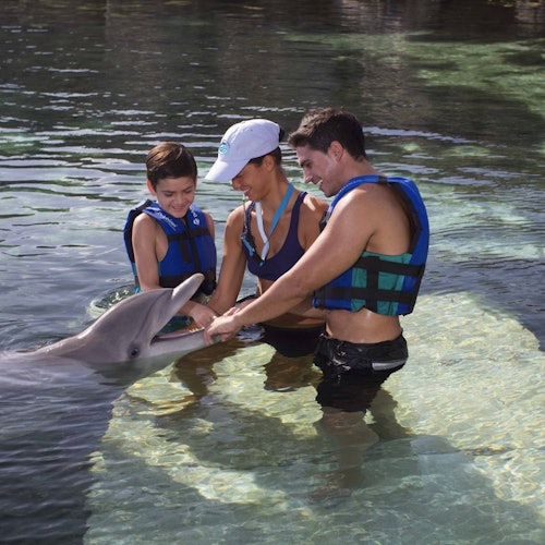 Delphinus Xcaret: Entry Ticket + Transfers + Swim with Dolphins — gallery 3