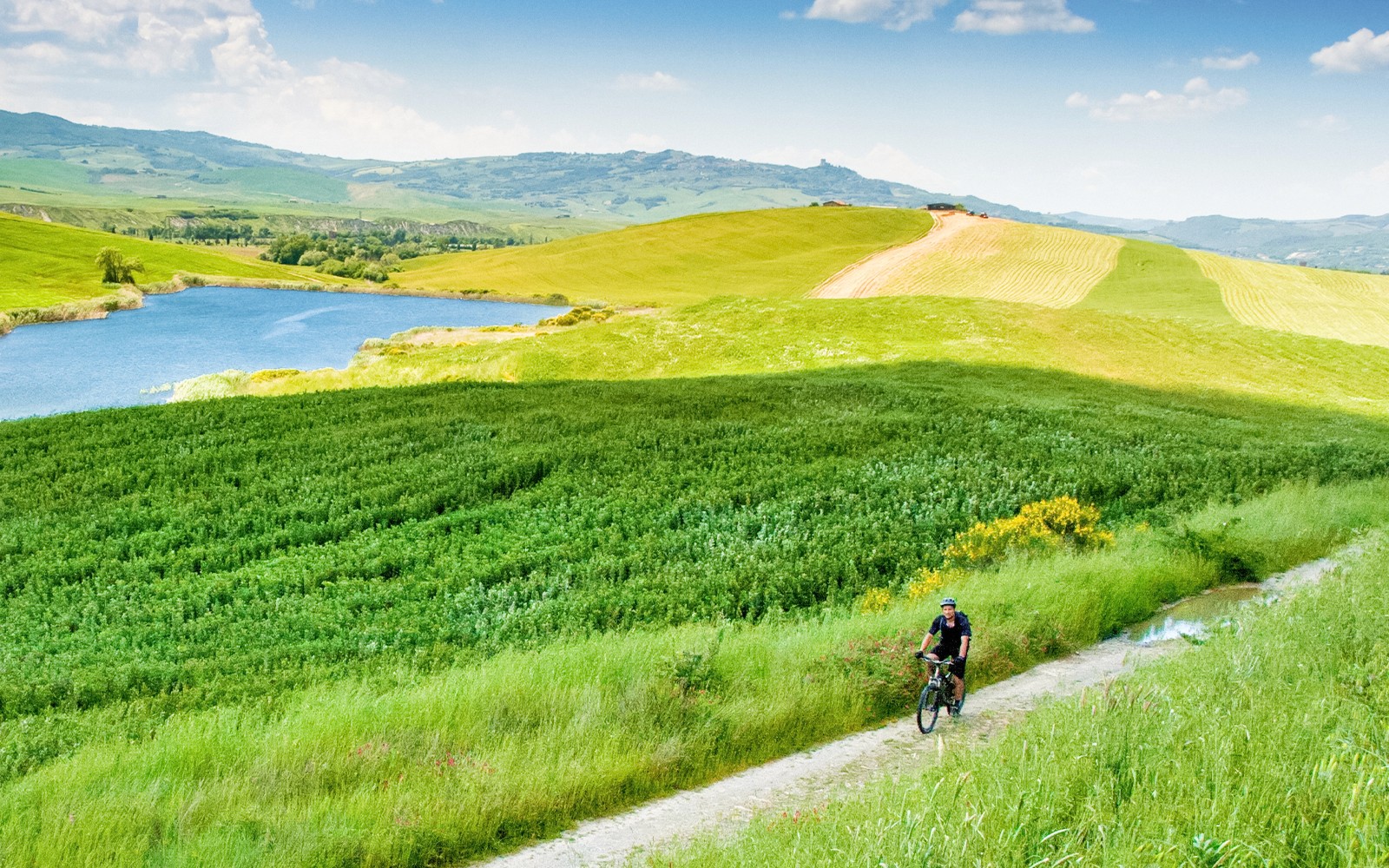 From Florence: E-Bike Tour through Tuscany & Chianti with Lunch — gallery 4