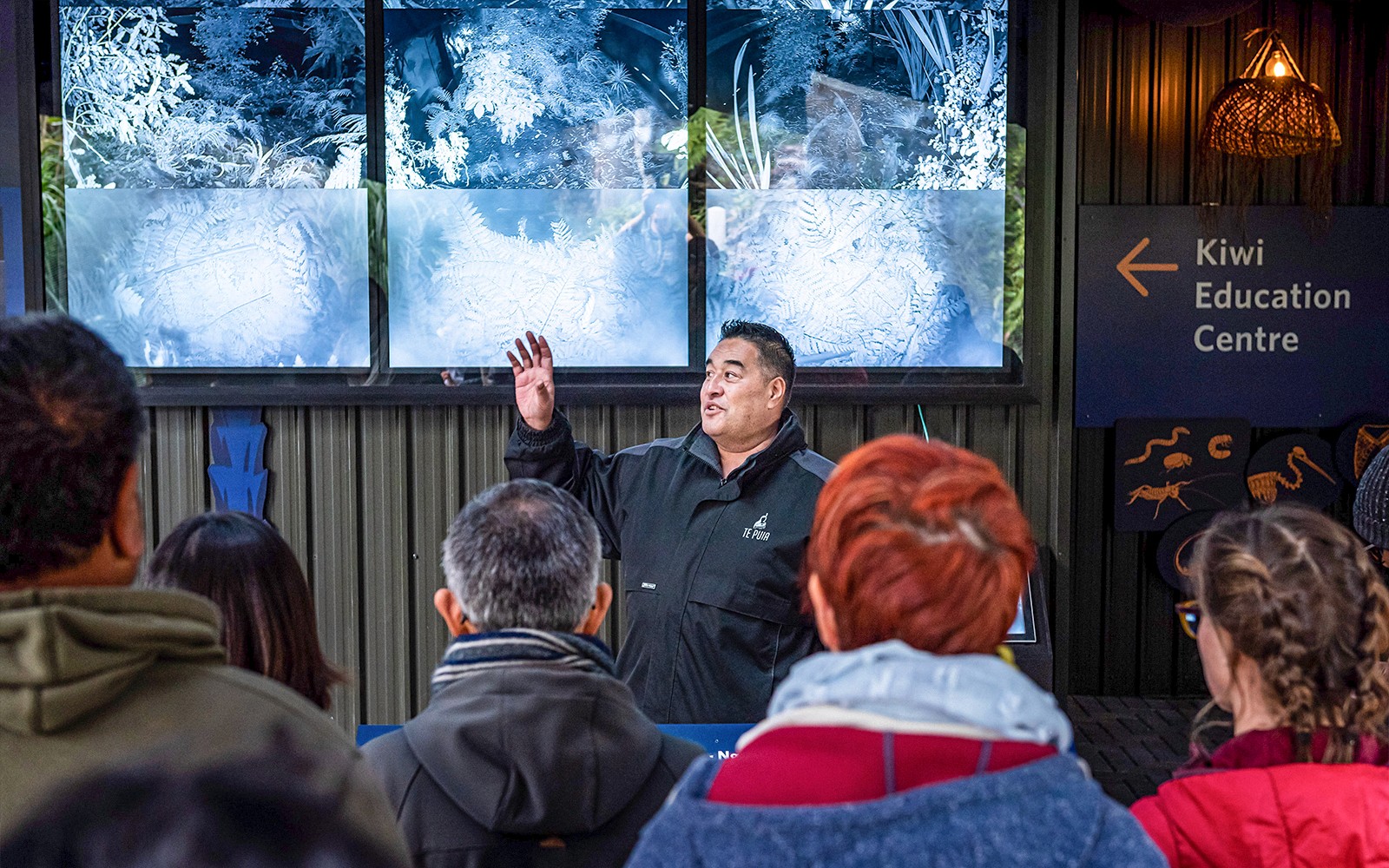 Te Puia: Te Rā Guided Experience