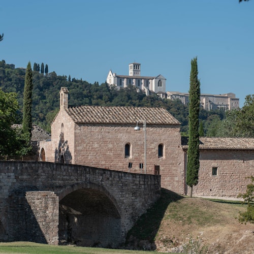 Bosco di San Francesco: Entry Ticket — gallery 1