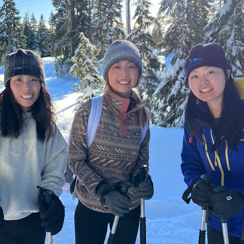 Vancouver: Guided Snowshoeing Tour on Grouse Mountain
