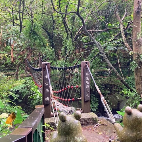 Pinglin Tea Culture & Maokong: Guided Day Tour from Taipei + Gondola Ride — gallery 4