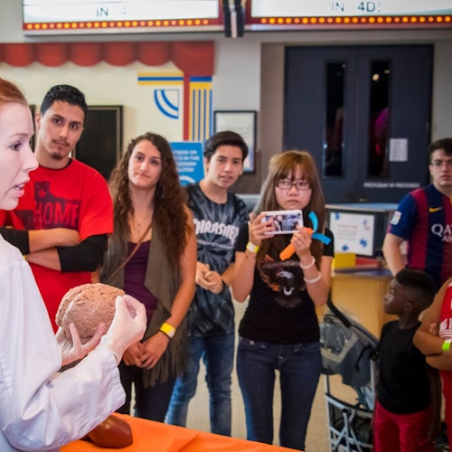 Houston Kid's Choice: Museum Pass — gallery 2