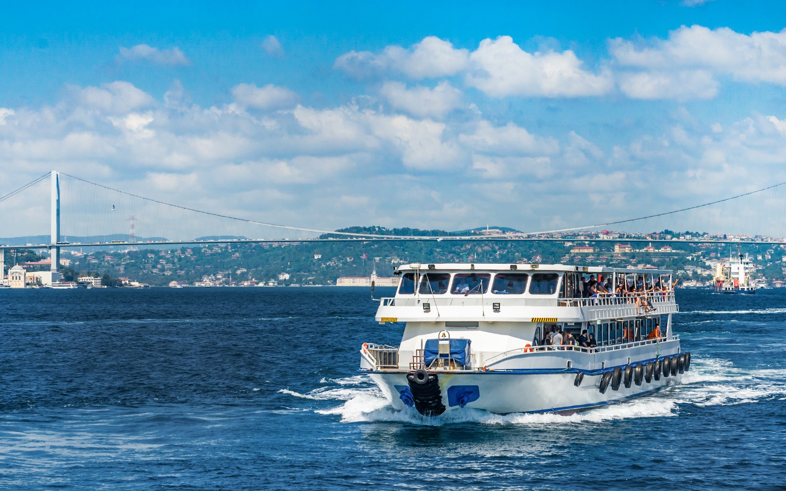 Istanbul Top Museums 3-Day Pass: Guided Tour + Entry Tickets & Free Bosphorus Cruise — gallery 2