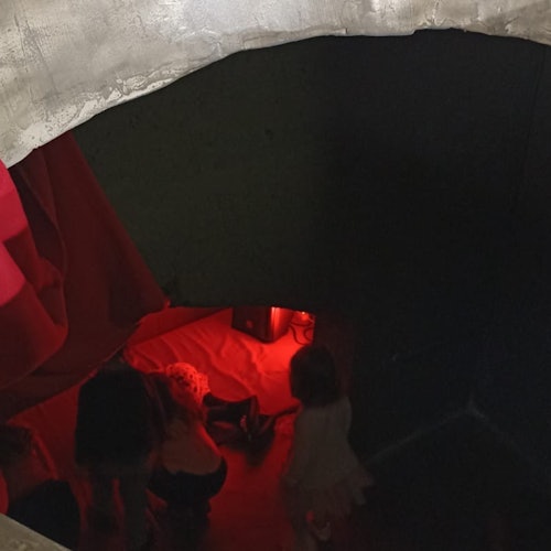 RADICI. Piccolo Museo della Natura: Entry Ticket + Self-Guided Tour — gallery 1