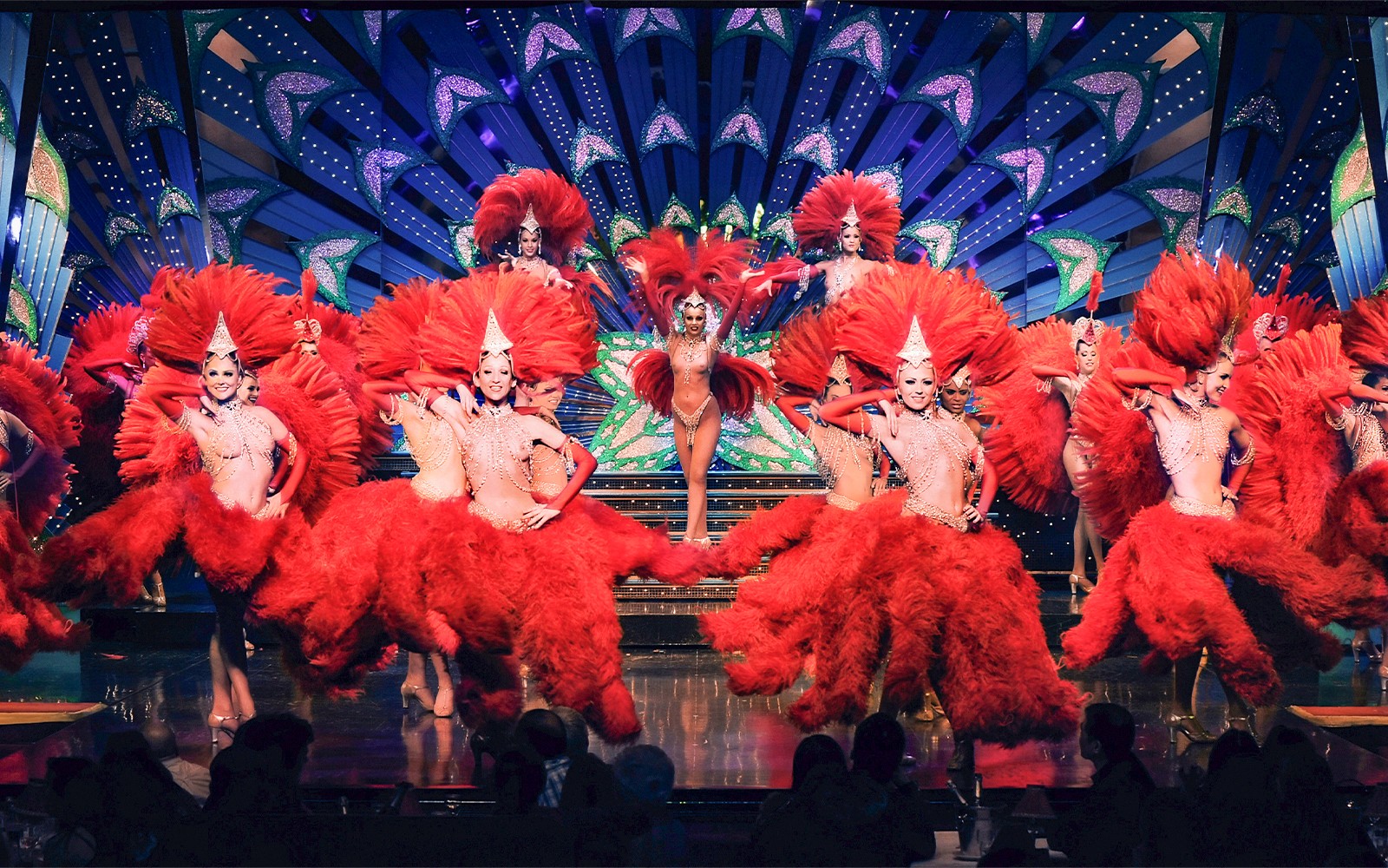Seine River Cruise & Moulin Rouge Show with Champagne and Return Transfers