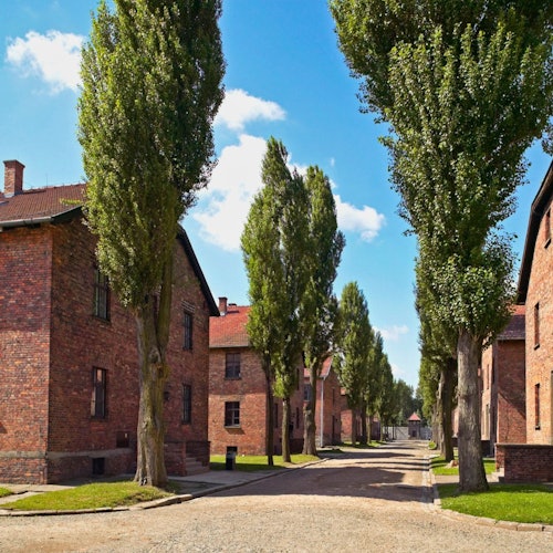 Auschwitz-Birkenau: Guided Tour