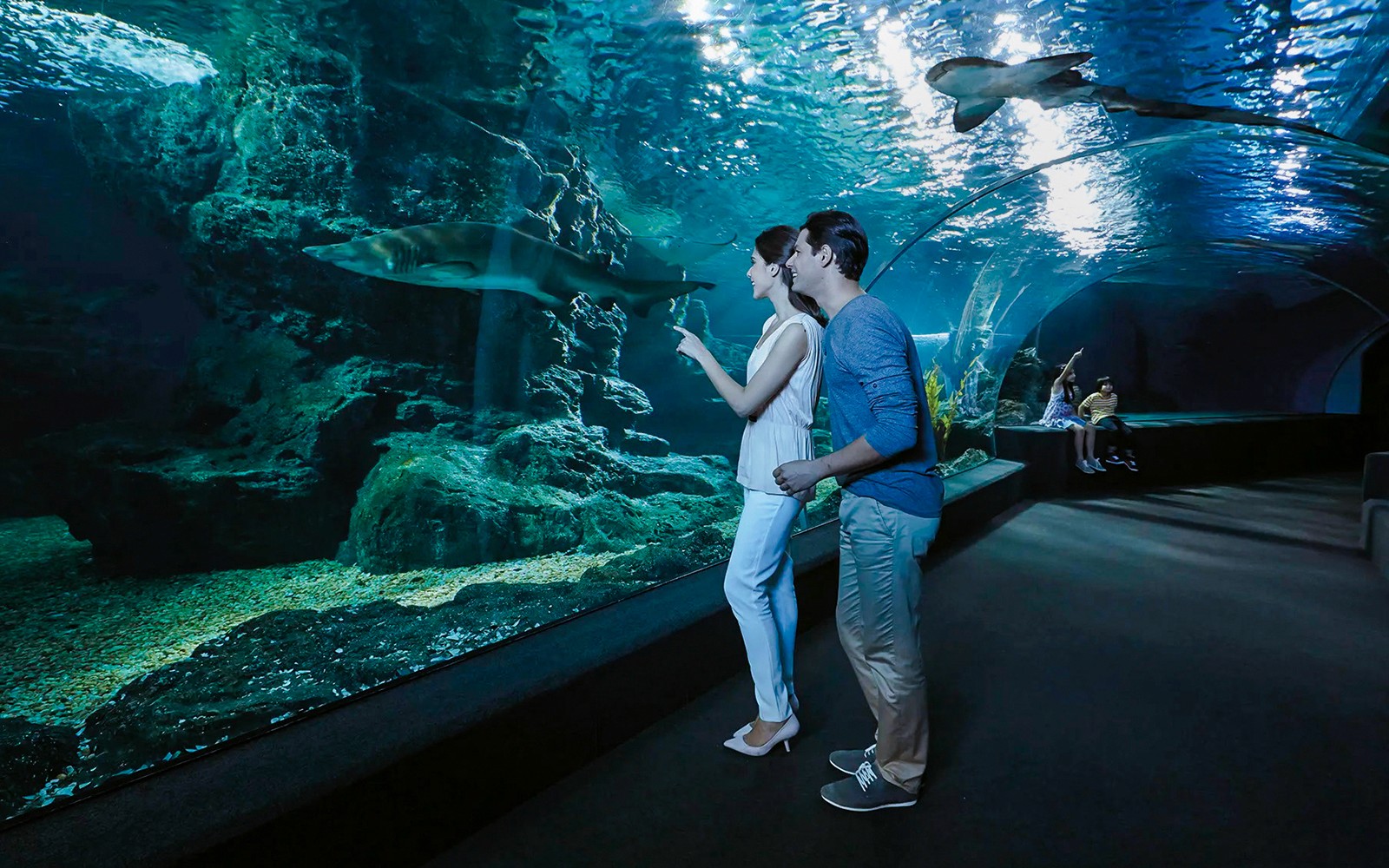 COMBO: SEA LIFE Bangkok + Madame Tussauds Bangkok Tickets — gallery 4